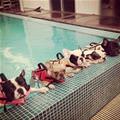 Swimming Class