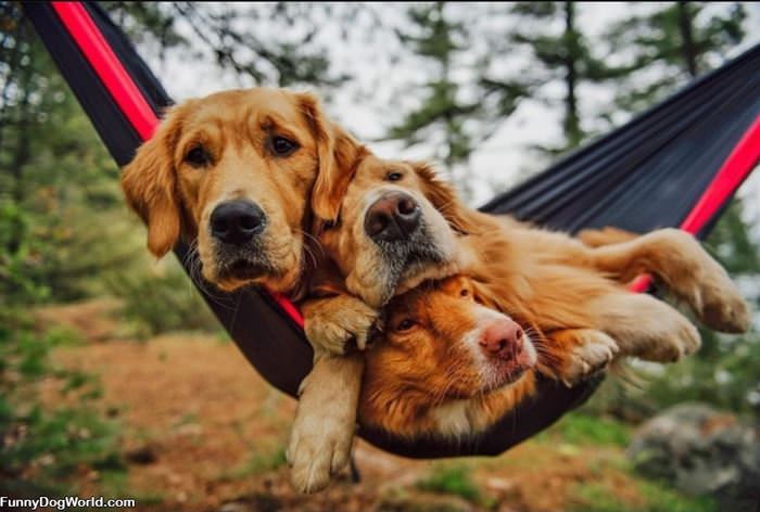 Swinging Together