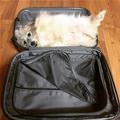 Take Me With You