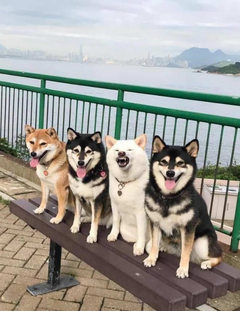 Taking A Group Photo