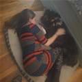 Taking A Nap Together