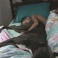 Taking A Nap
