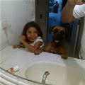 funny dog 3