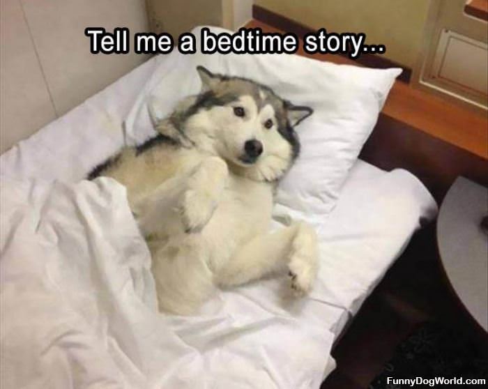 Tell Me A Bedtime Story