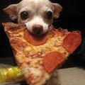Thanks For The Pizza
