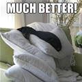 That Is Much Better