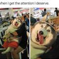 The Attention I Deserve