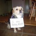 The Baby Poop Eater