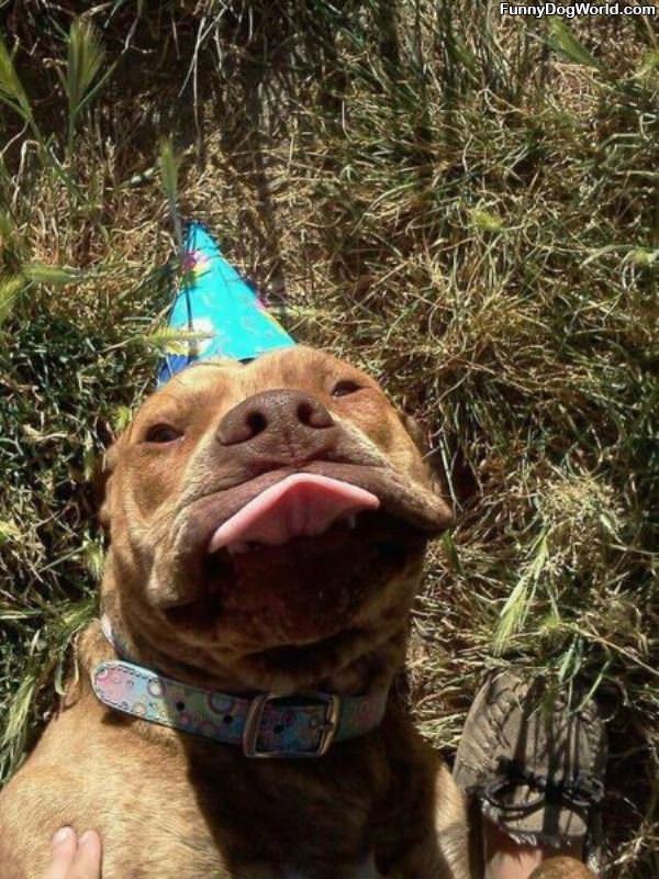 The Birthday Tongue