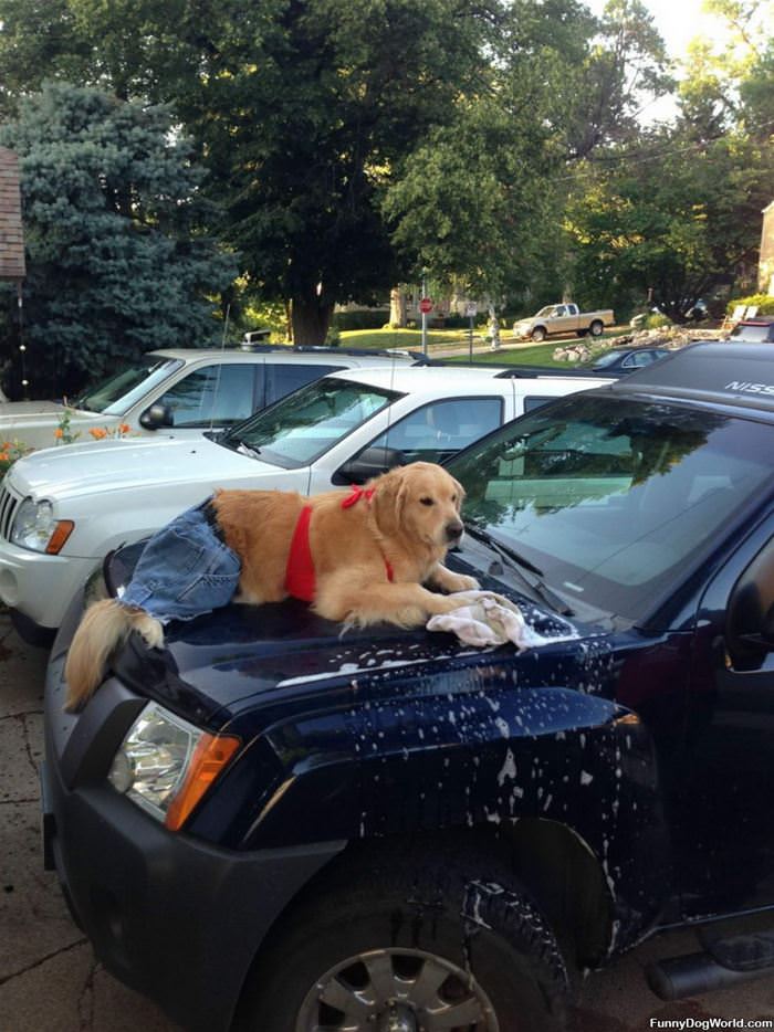 The Car Wash