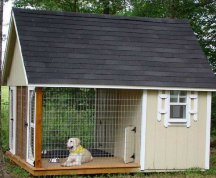 The Coolest Dog House