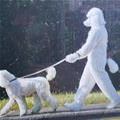 The Dog Dog Walker