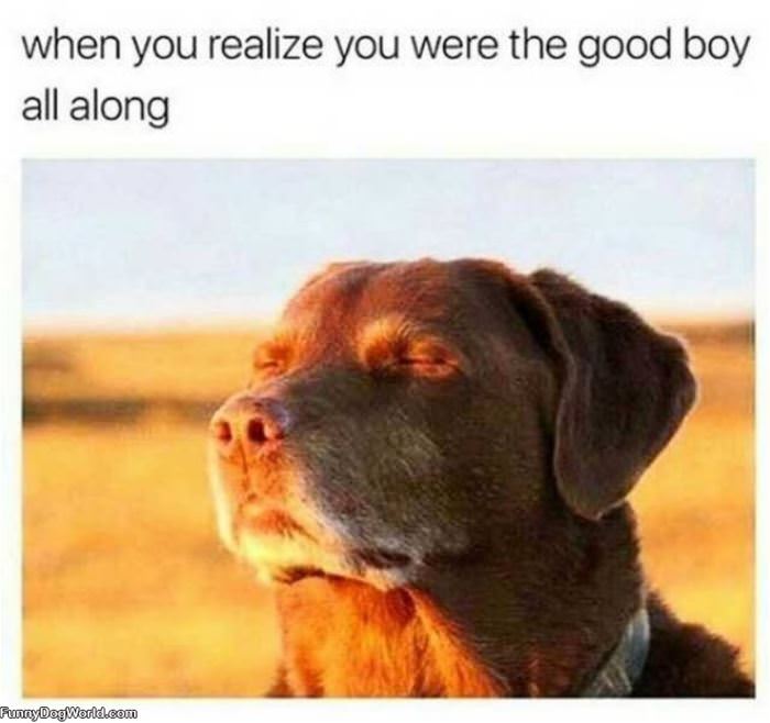 The Good Boy All Along