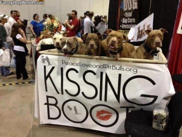 The Kissing Booth