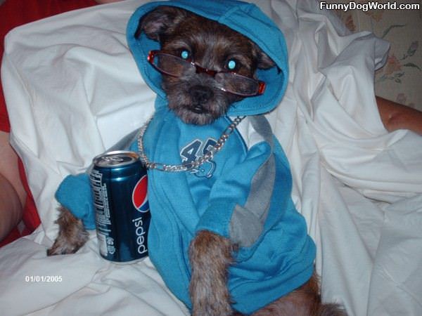 The Pepsi Dog