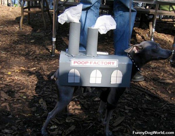 The_Poop_Factory The Poop Factory