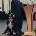 The President Of Ireland