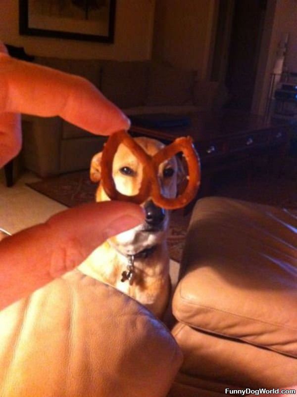 The Pretzel Mask