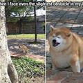 The Slightest Obstacle
