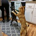 The Snack Was For Me