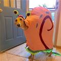 The Snail