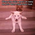 funny dog 4