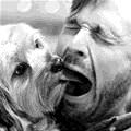 funny dog 2