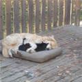 These 2 Are Cuddling Up