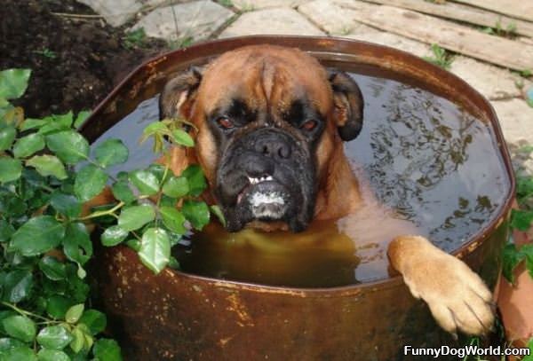 This Bath Makes Me Angry