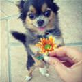 This For You