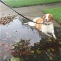 This Is A Cool Place To Sit