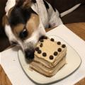 This Is A Good Bite