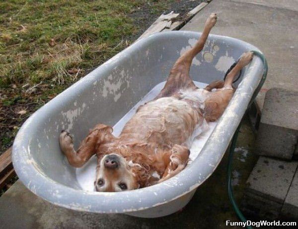 This Is Mah Bath