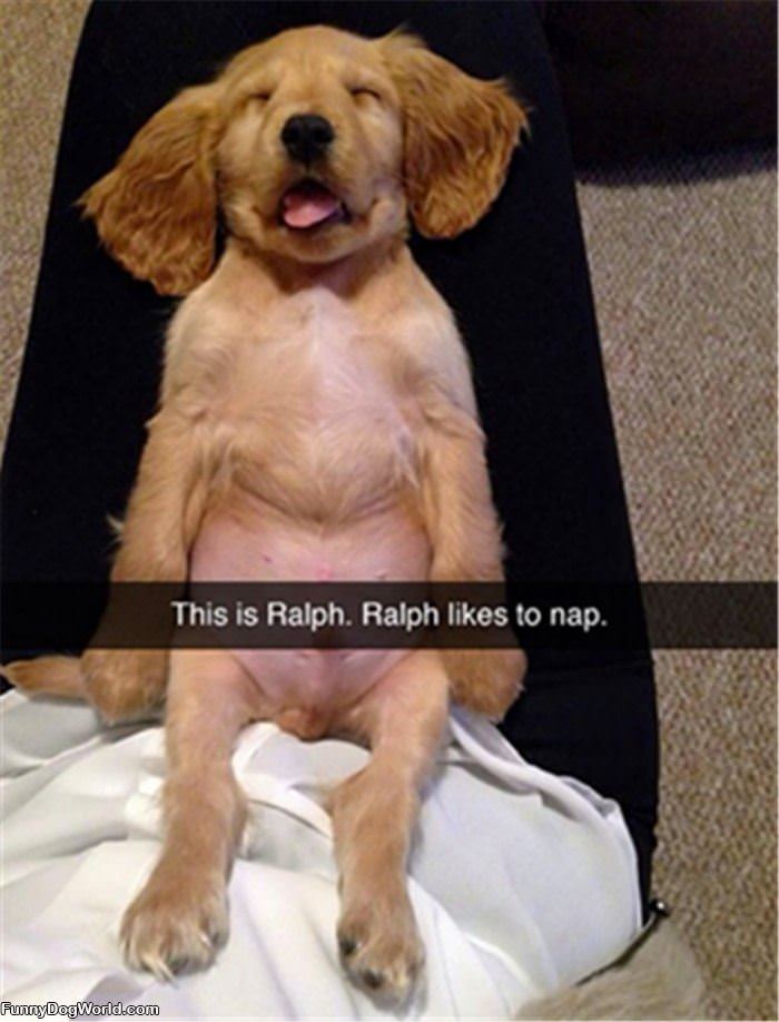 This Is Ralph