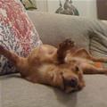 This Is Where I Like To Sleep