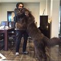 Time For Hugs