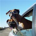 Time For Our Ride