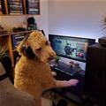 Time For Some Internets