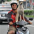 Time To Ride