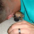 Tiny
