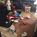 Toby And Friends