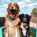 Told A Funny Joke