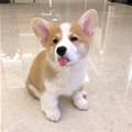 Tongue Out Here