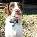 Tongue Out To That