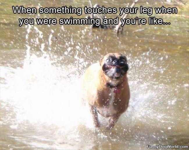Touches Your Leg While Swimming
