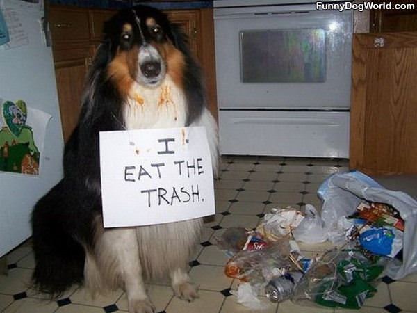 Trash Eater