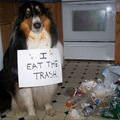 Trash Eater