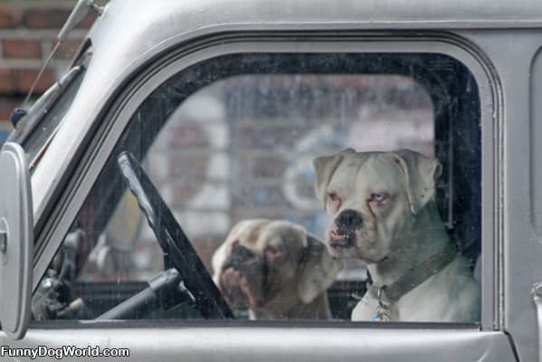 Trucker