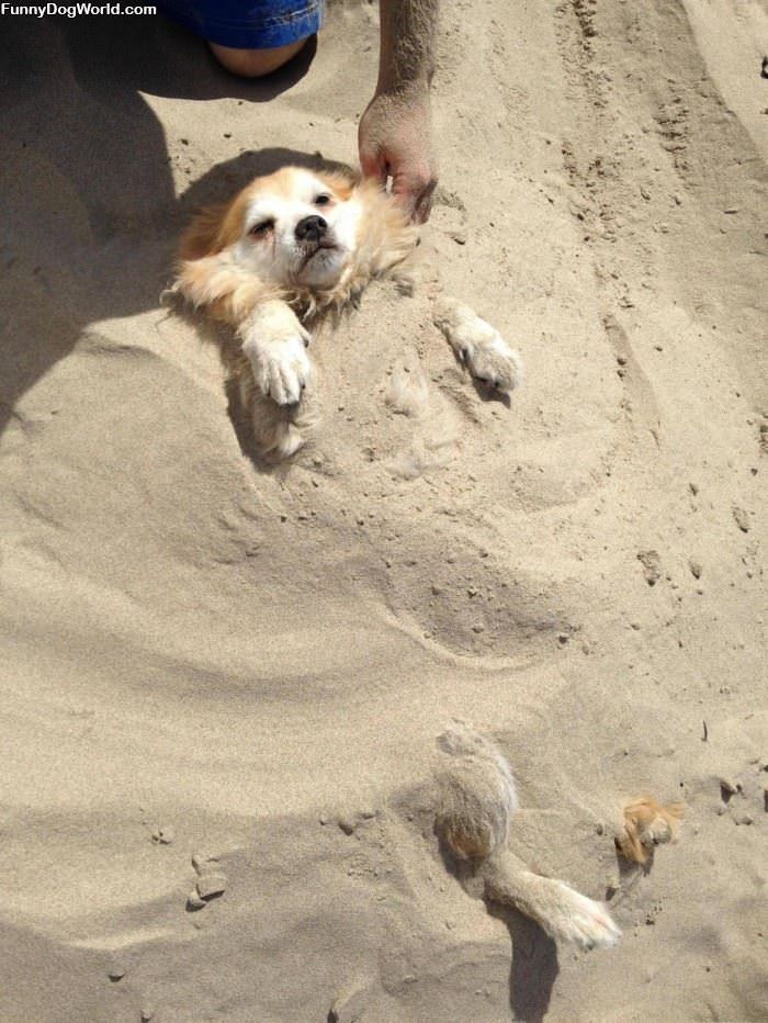 Under The Sand