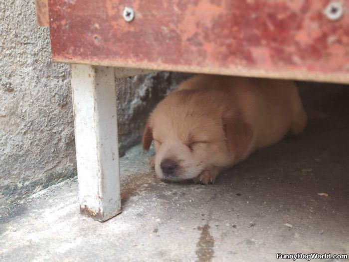 Under The Table